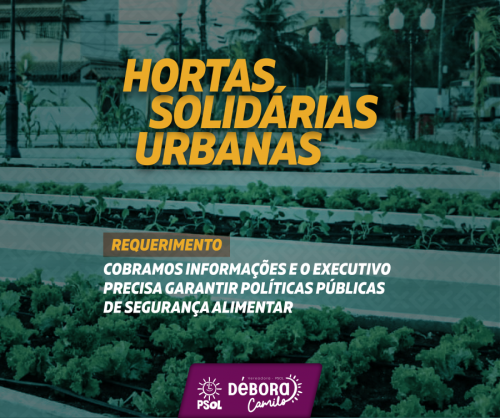 Hortas solidárias urbanas -  DÉBORA NA CÂMARA