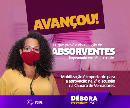 Câmara aprova em 1° discussão projeto da Vereadora Débora Camilo (PSOL) de distribuição de absorventes 