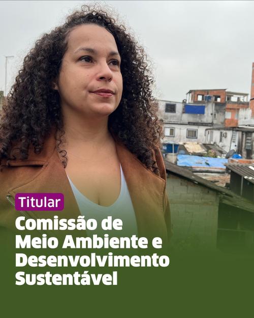 Confira as Comissões que Débora Camilo atuará nesses próximos dois anos na Câmara Municipal de Santos: