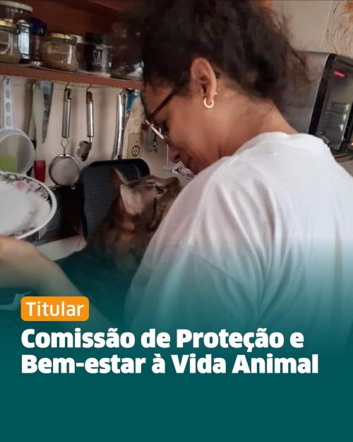 Confira as Comissões que Débora Camilo atuará nesses próximos dois anos na Câmara Municipal de Santos: