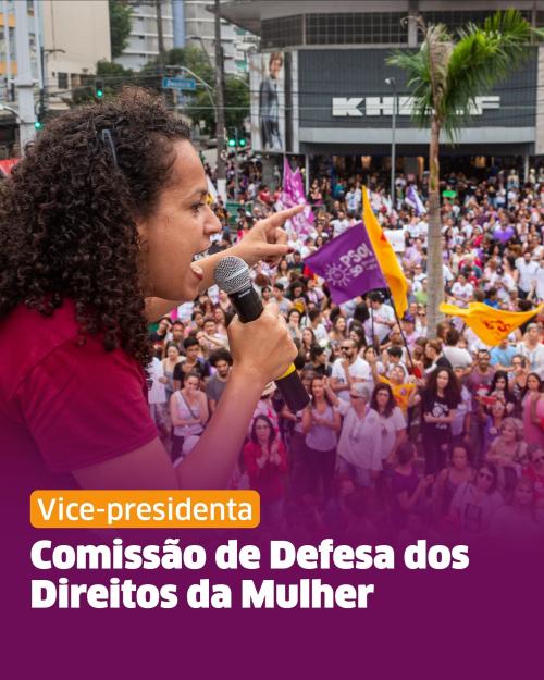 Confira as Comissões que Débora Camilo atuará nesses próximos dois anos na Câmara Municipal de Santos: