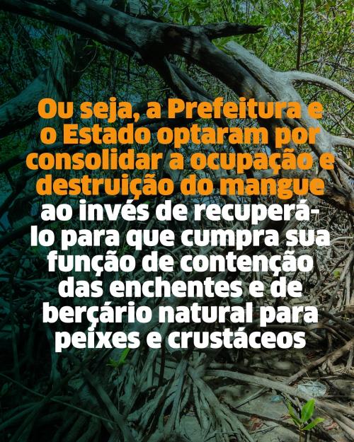 Débora aciona o Ministério Público para investigar possível dano ambiental na construção do Parque Palafitas