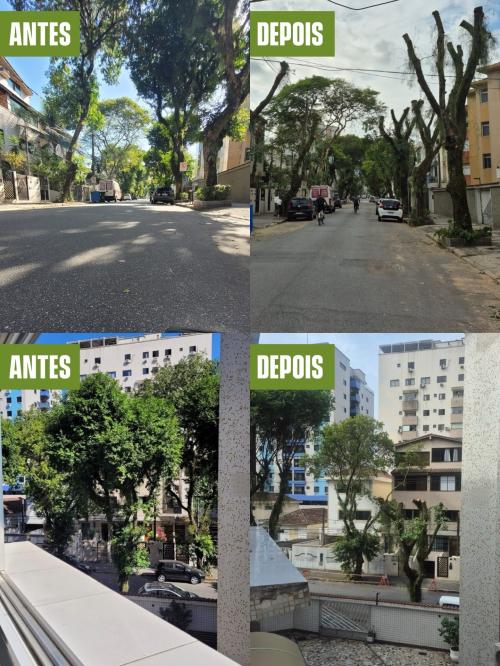 Débora Camilo aciona o Ministério Público por corte de árvores centenárias em Santos