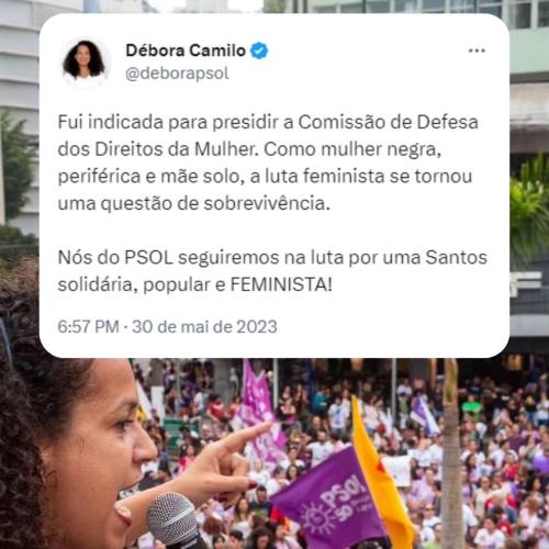 Débora Camilo é presidente da Comissão de Defesa dos Direitos da Mulher na Câmara de Santos