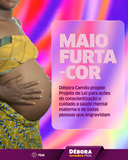 Débora Camilo (PSOL) propõe o Maio Furta-cor, para conscientização da saúde mental de todas as pessoas que engravidam!