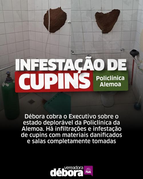 Débora cobra o Executivo sobre Infestação de cupins na policlínica Alemoa