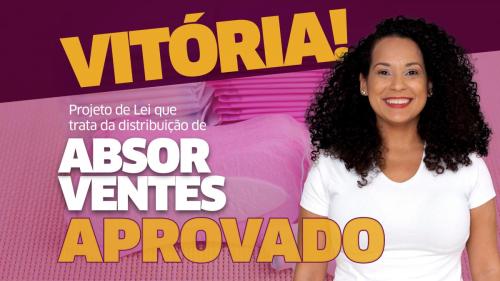 VITÓRIA! A Câmara Municipal de Santos APROVOU o nosso Projeto que visa a DISTRIBUIÇÃO DE ABSORVENTES em Santos!